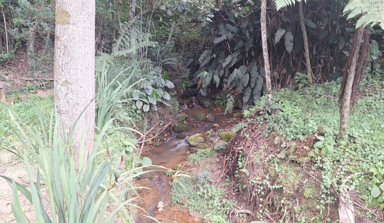 WhatsApp Image 2025-03-11 at 10.20.28 (3)