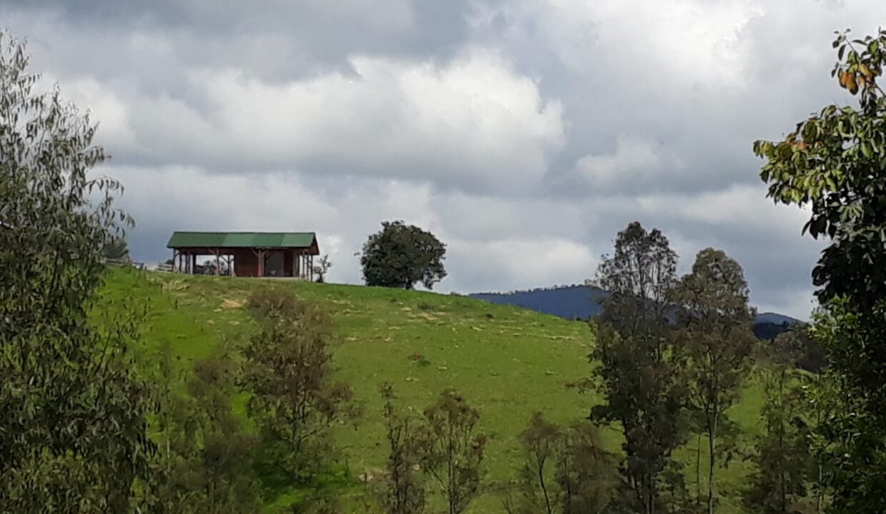 WhatsApp Image 2025-04-21 at 16.18.14 (2)
