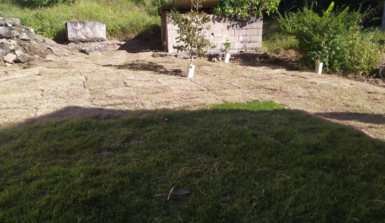WhatsApp Image 2025-08-05 at 13.40.44 (3)