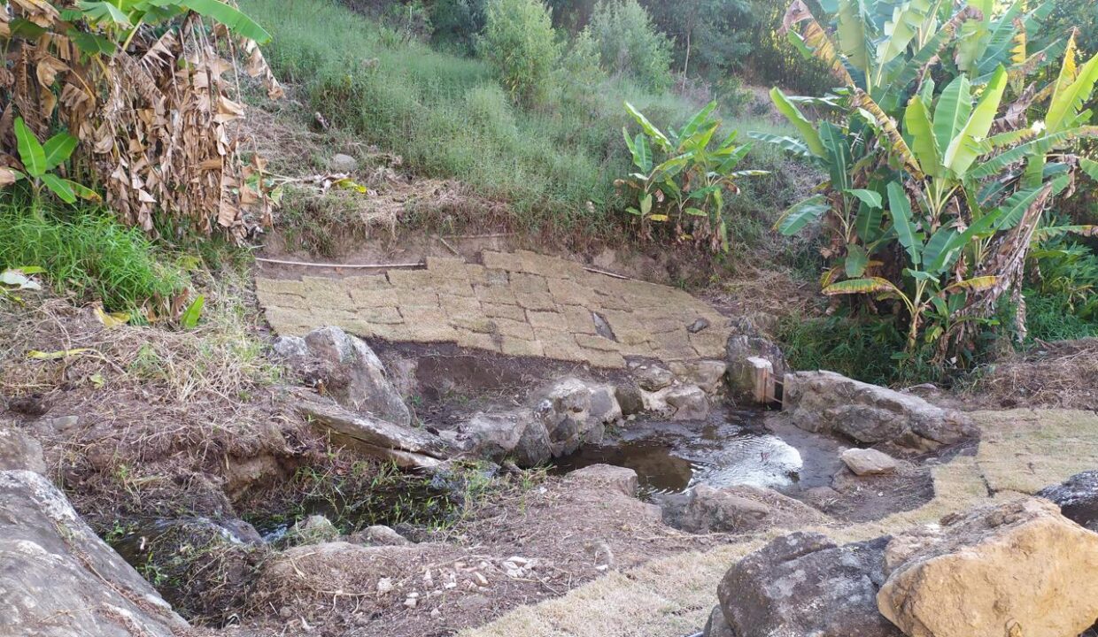 WhatsApp Image 2025-08-05 at 13.40.53 (4)