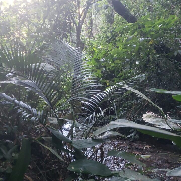 WhatsApp Image 2025-08-20 at 18.12.17